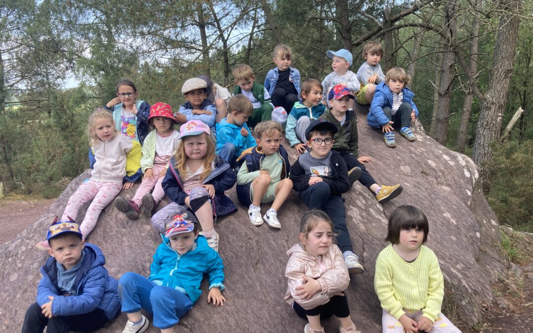 La sortie dans la forêt de Brocéliande