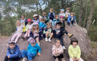 La sortie dans la forêt de Brocéliande